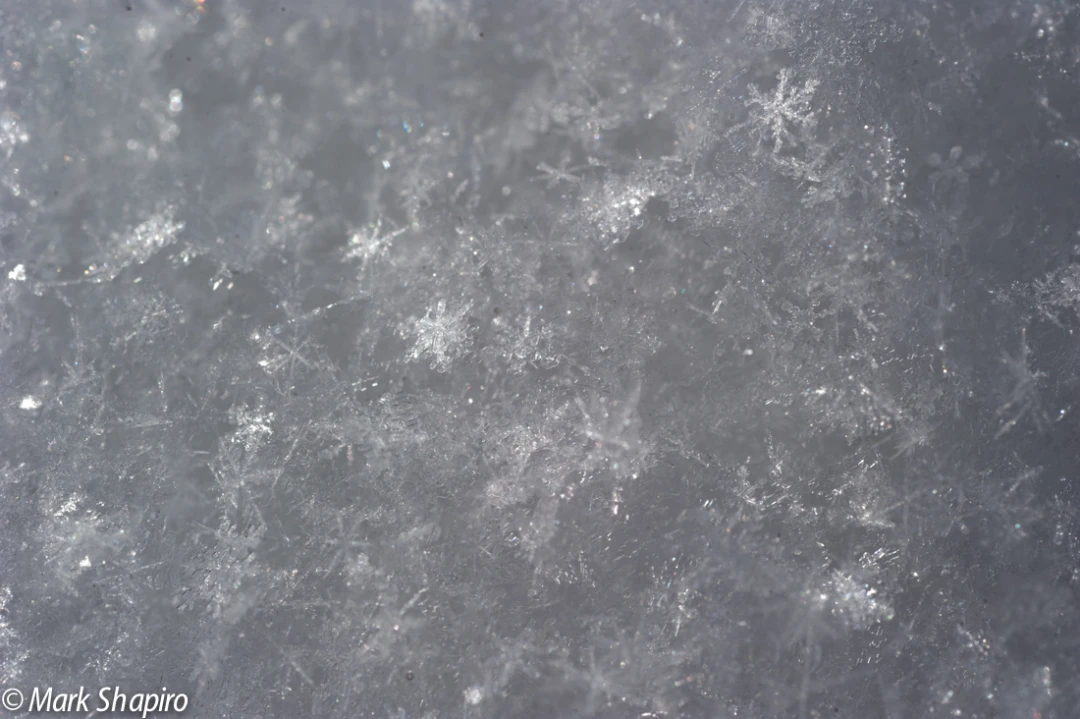 Powder Snow-31