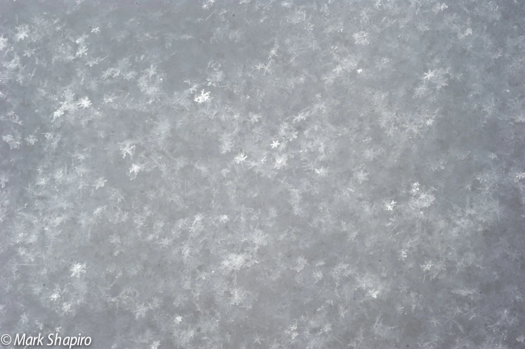 Powder Snow-3