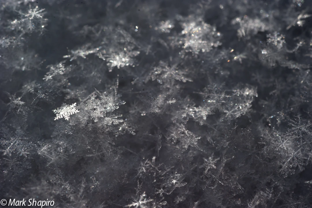 Powder Snow-33