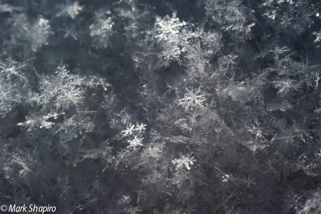 Powder Snow-34