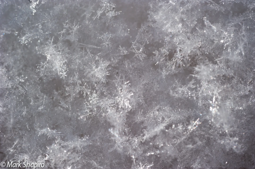 Powder Snow-35