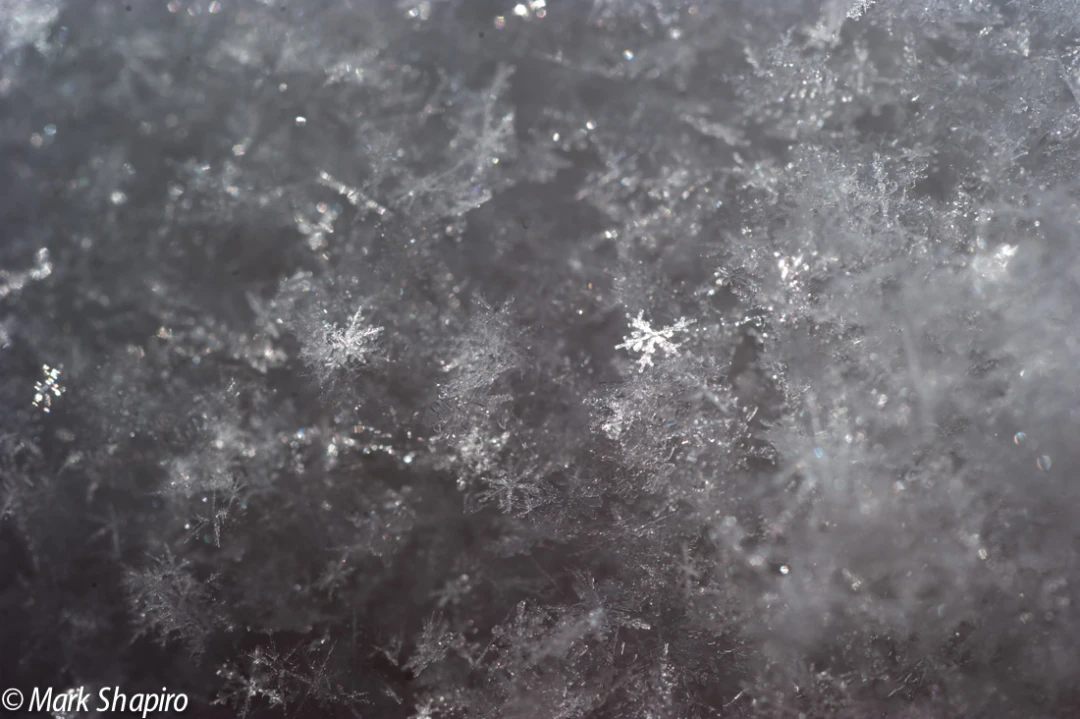 Powder Snow-37