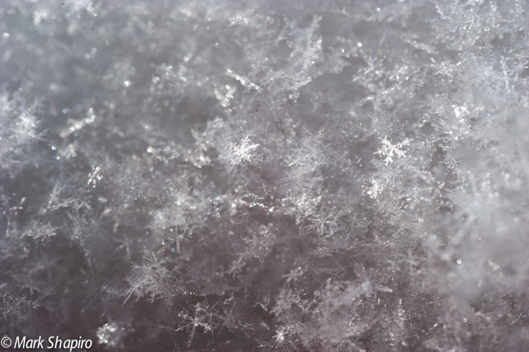 Powder Snow-38