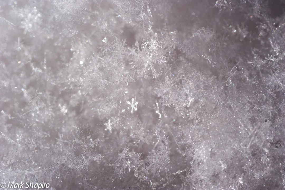 Powder Snow-40