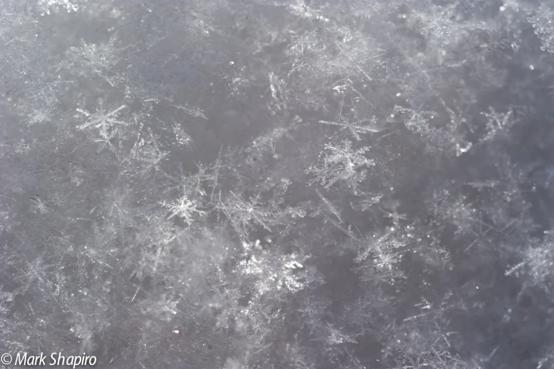 Powder Snow-41