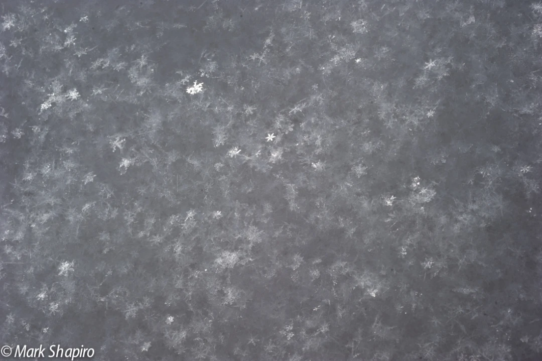 Powder Snow-4