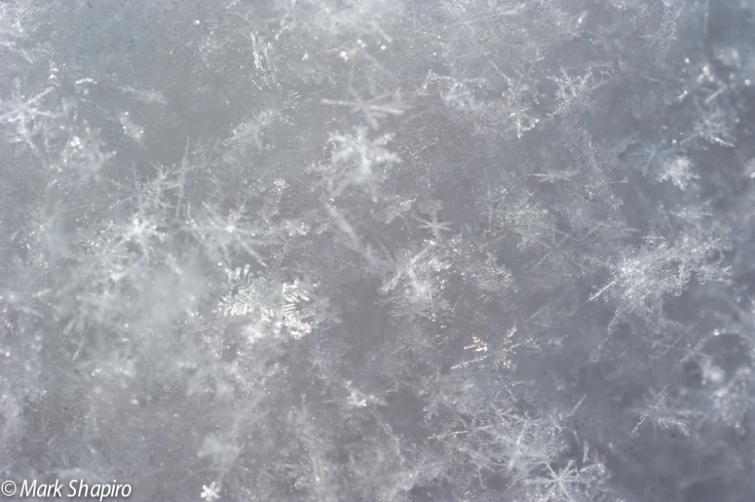 Powder Snow-42
