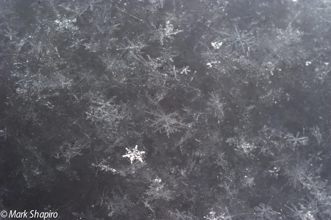 Powder Snow-43