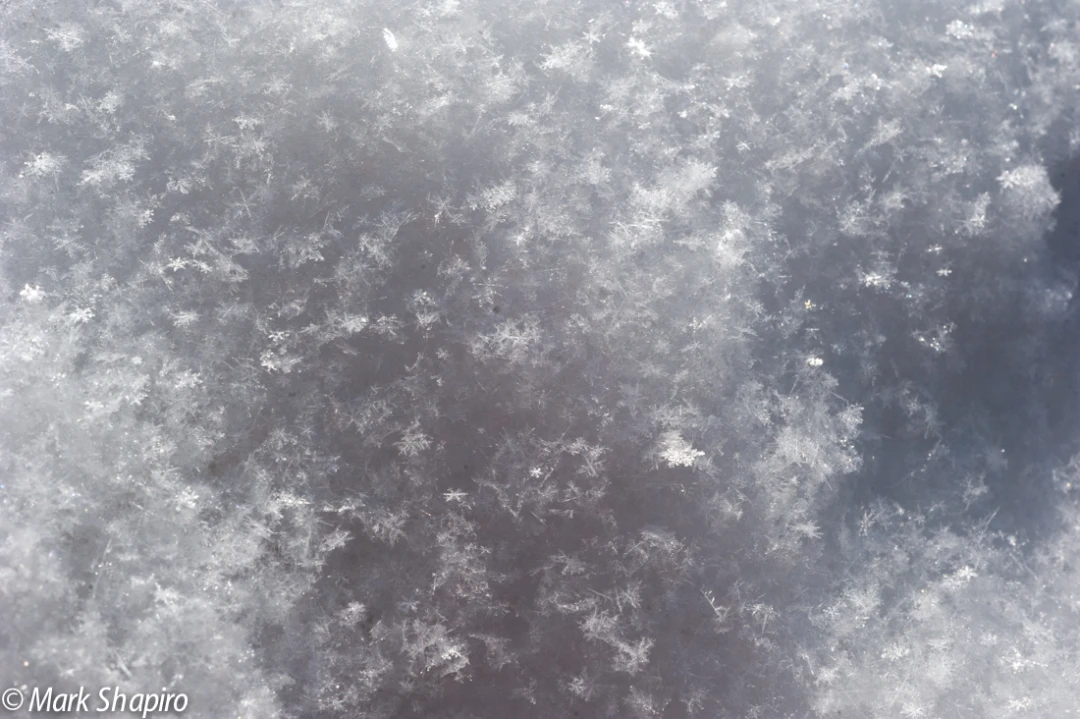 Powder Snow-45