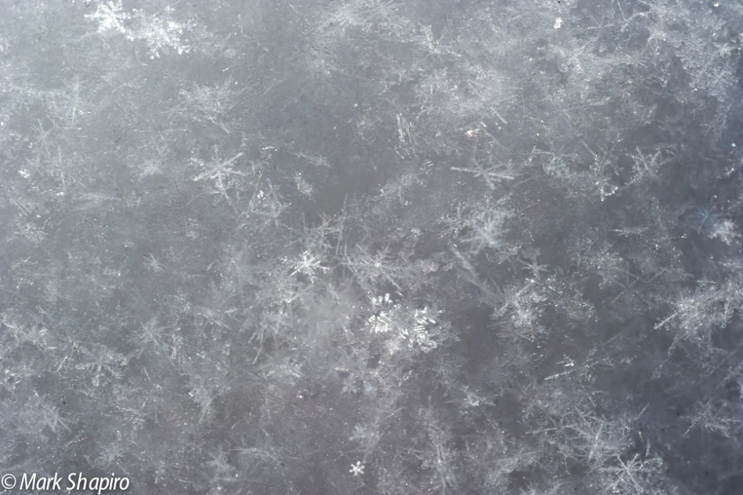 Powder Snow-46