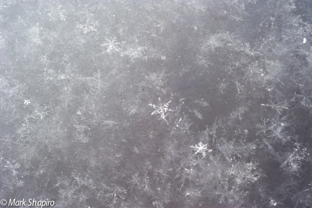 Powder Snow-47