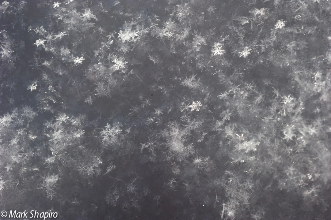 Powder Snow-48
