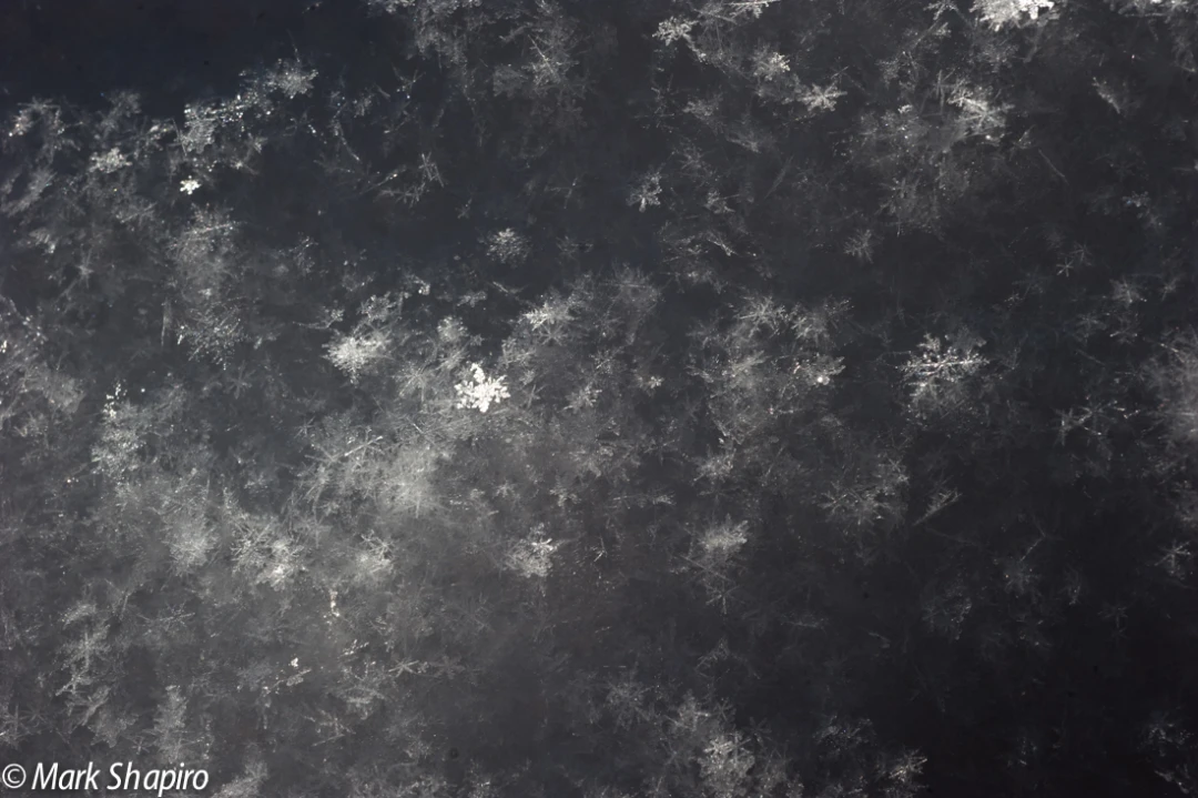 Powder Snow-49
