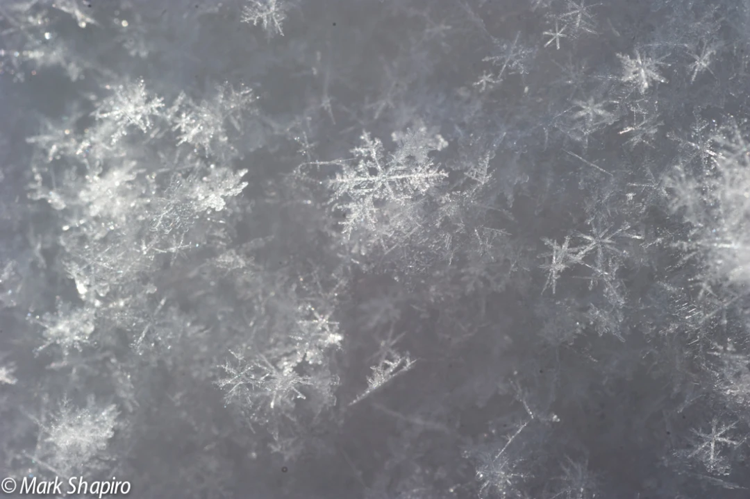 Powder Snow-51