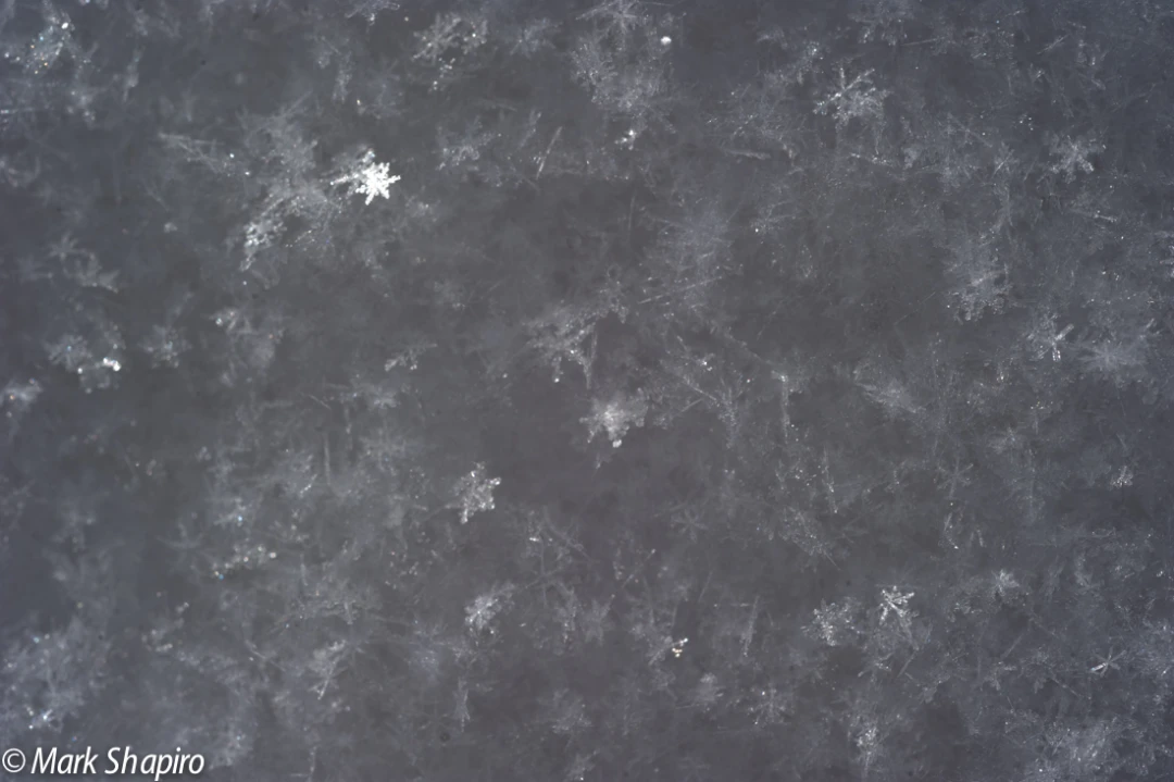 Powder Snow-5