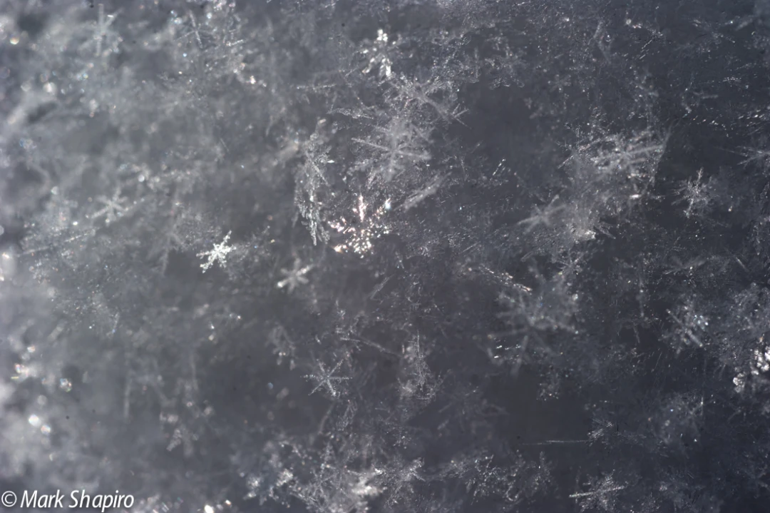 Powder Snow-52