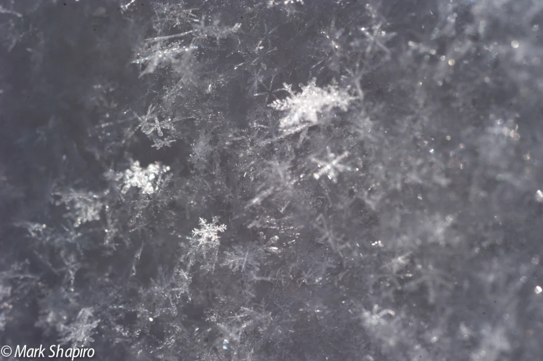 Powder Snow-53