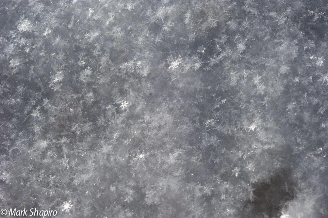 Powder Snow-54