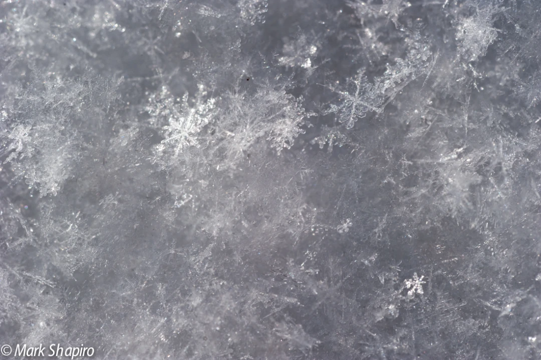 Powder Snow-55