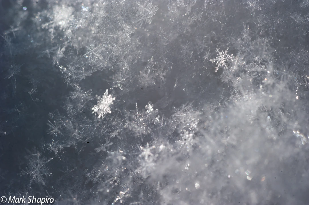 Powder Snow-56