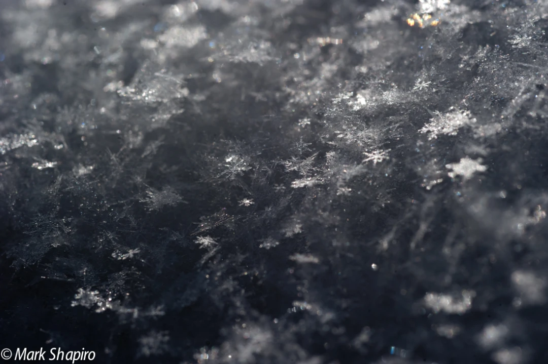 Powder Snow-57