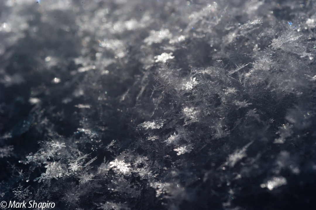 Powder Snow-58