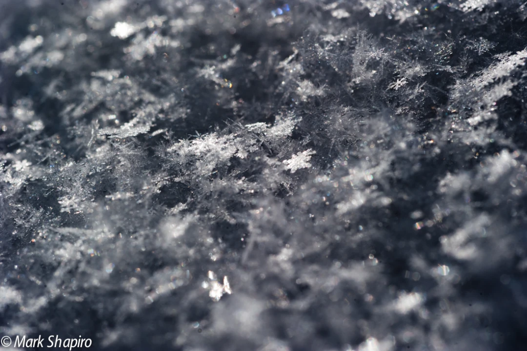 Powder Snow-59