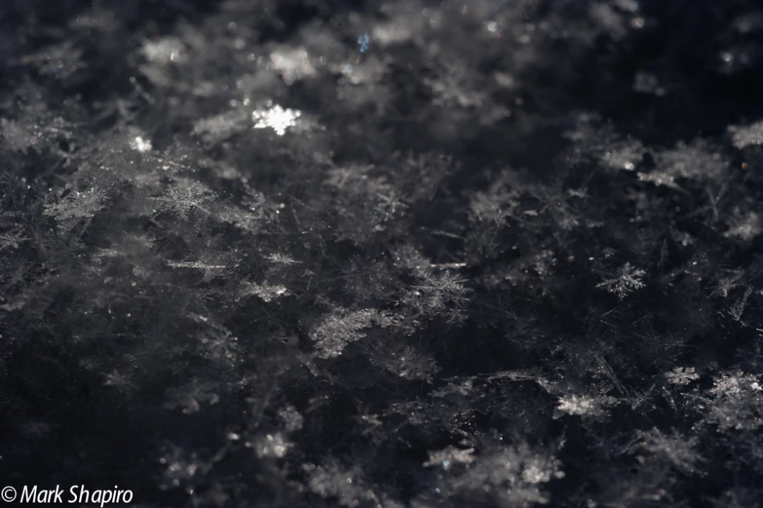 Powder Snow-60