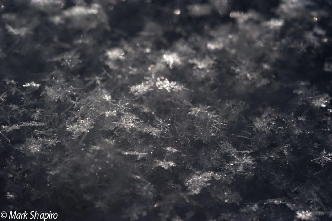 Powder Snow-61