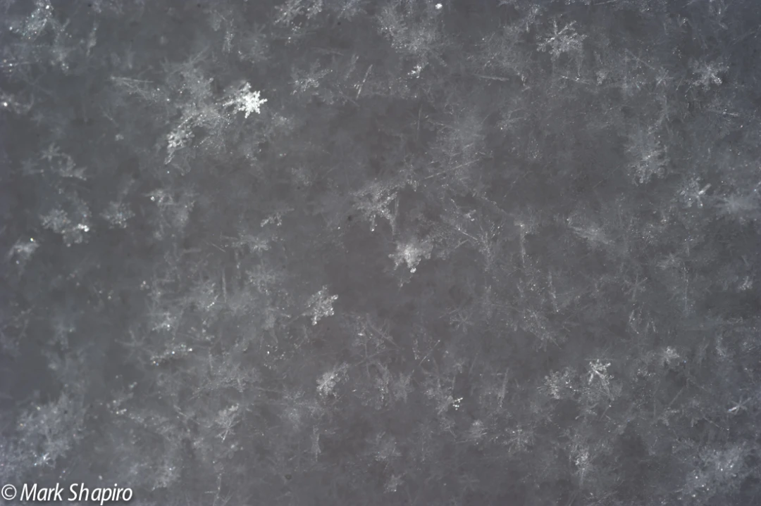 Powder Snow-6