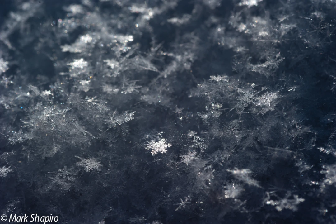 Powder Snow-63