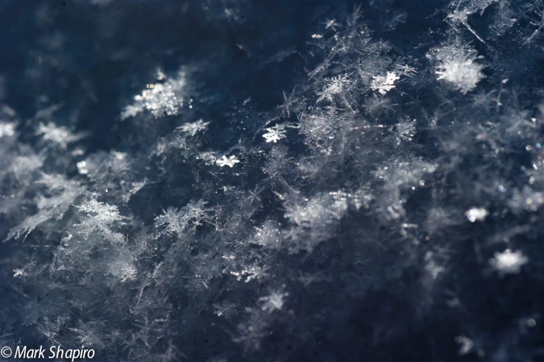 Powder Snow-64