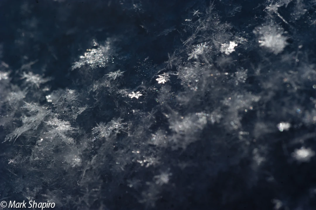 Powder Snow-65