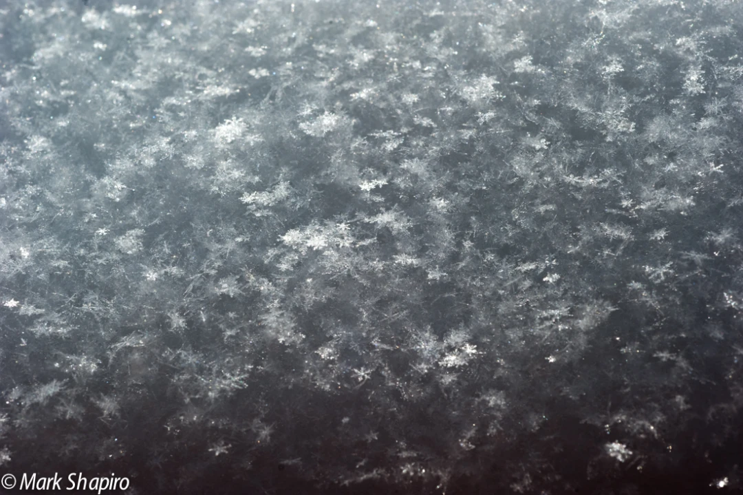 Powder Snow-66