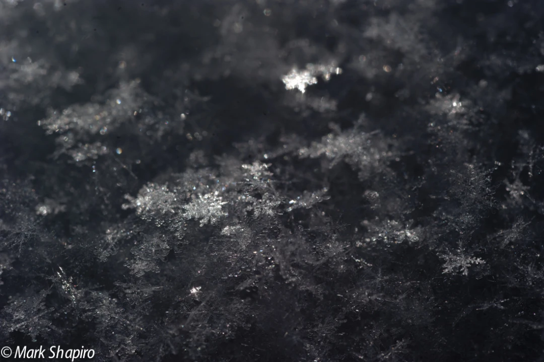 Powder Snow-67