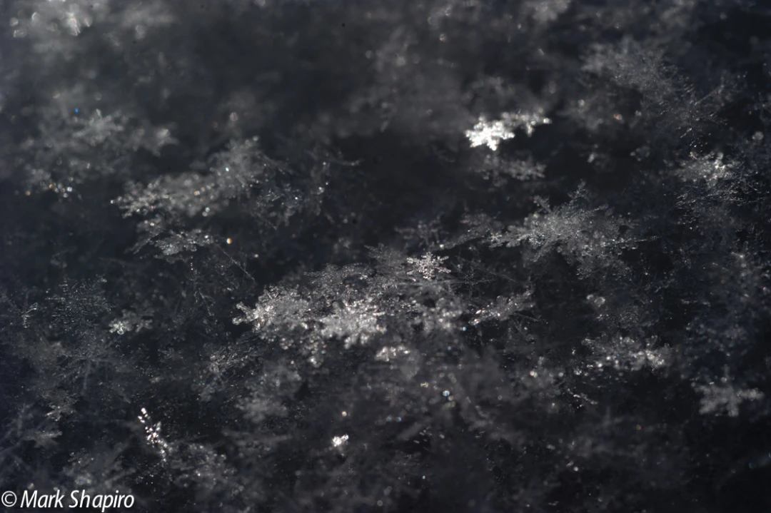Powder Snow-68