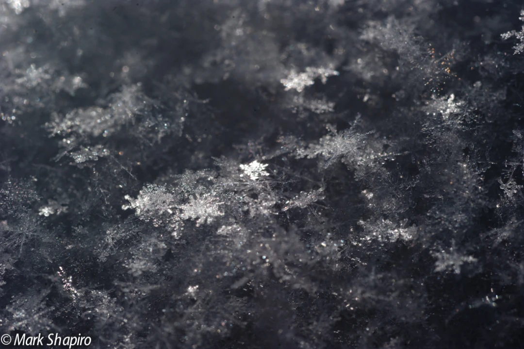 Powder Snow-69