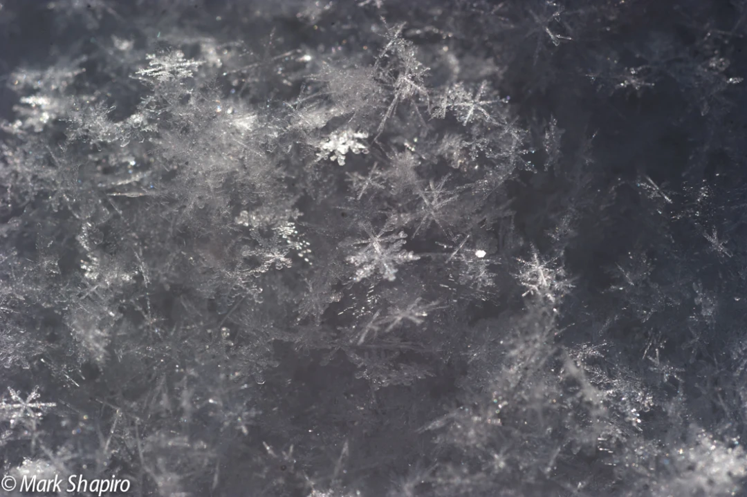 Powder Snow-70