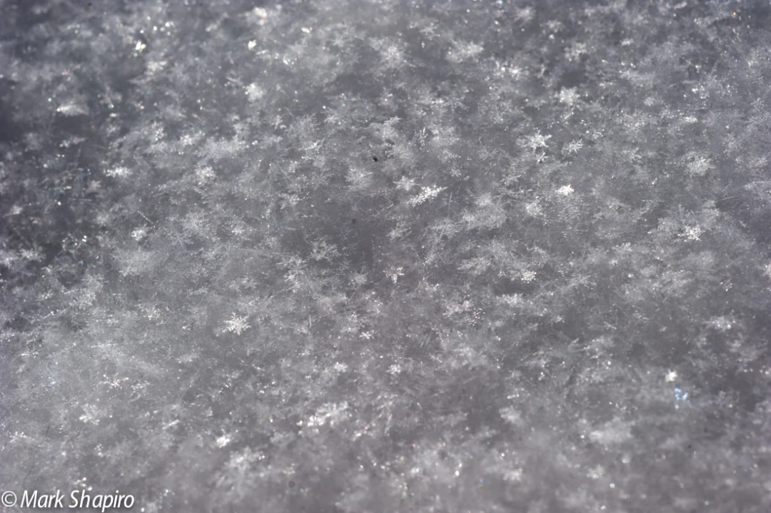 Powder Snow-71