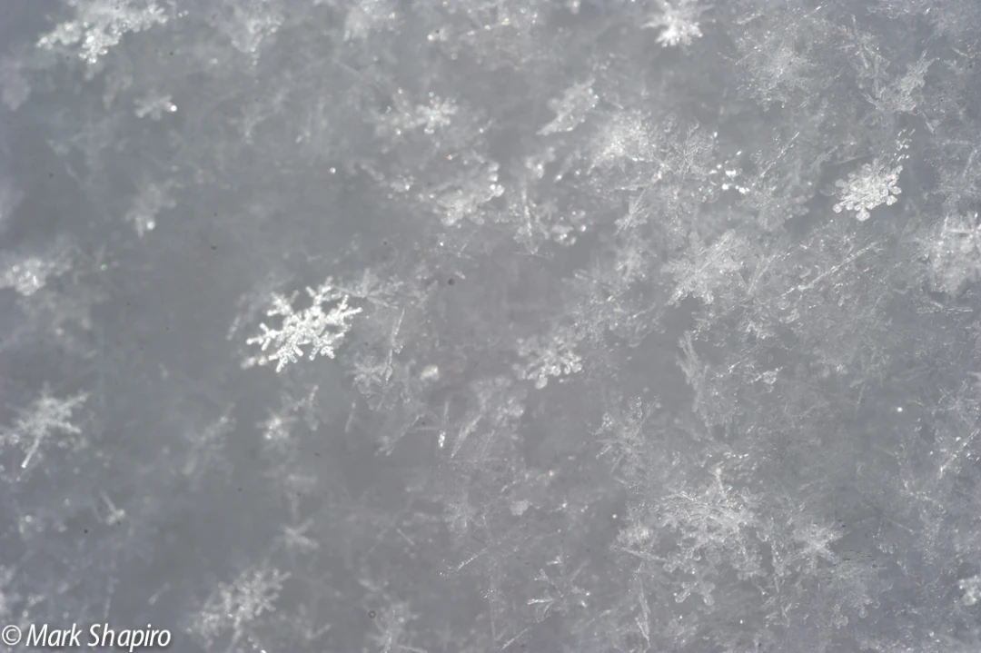 Powder Snow-7