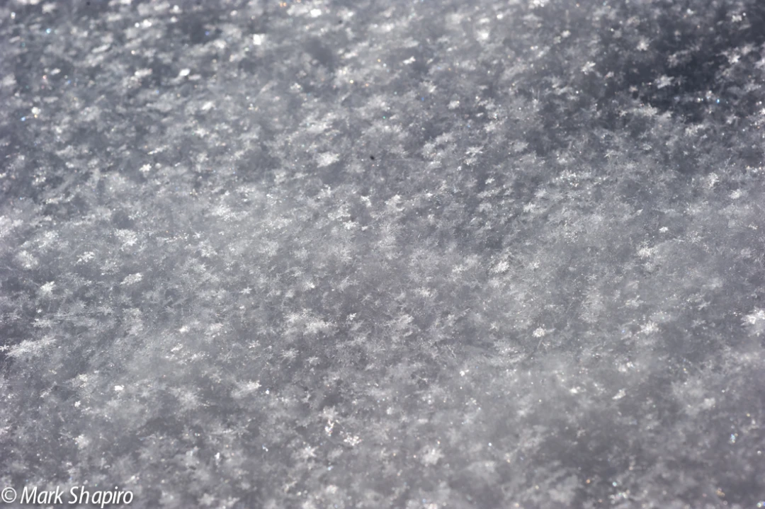 Powder Snow-72
