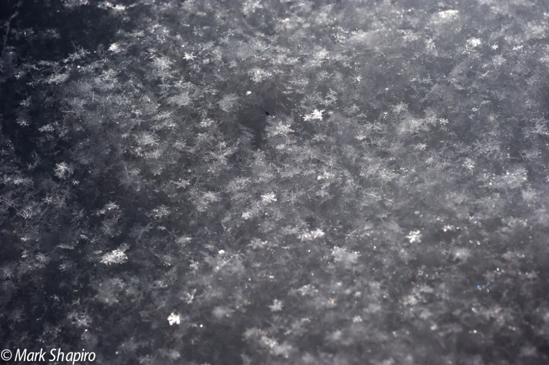 Powder Snow-73