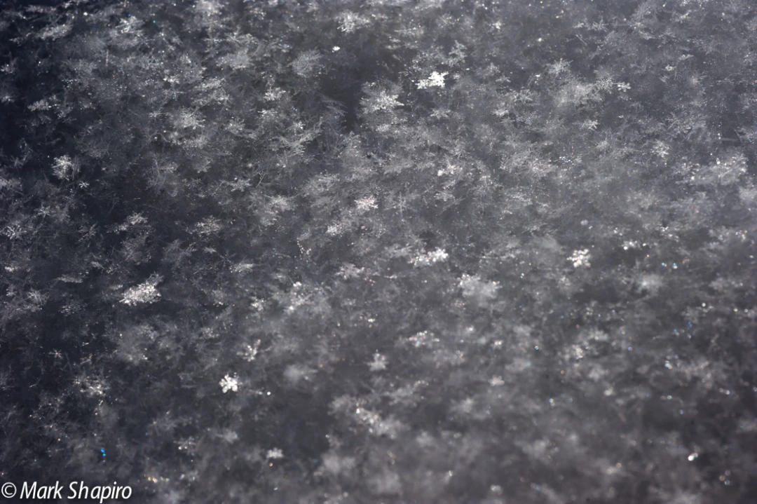 Powder Snow-74