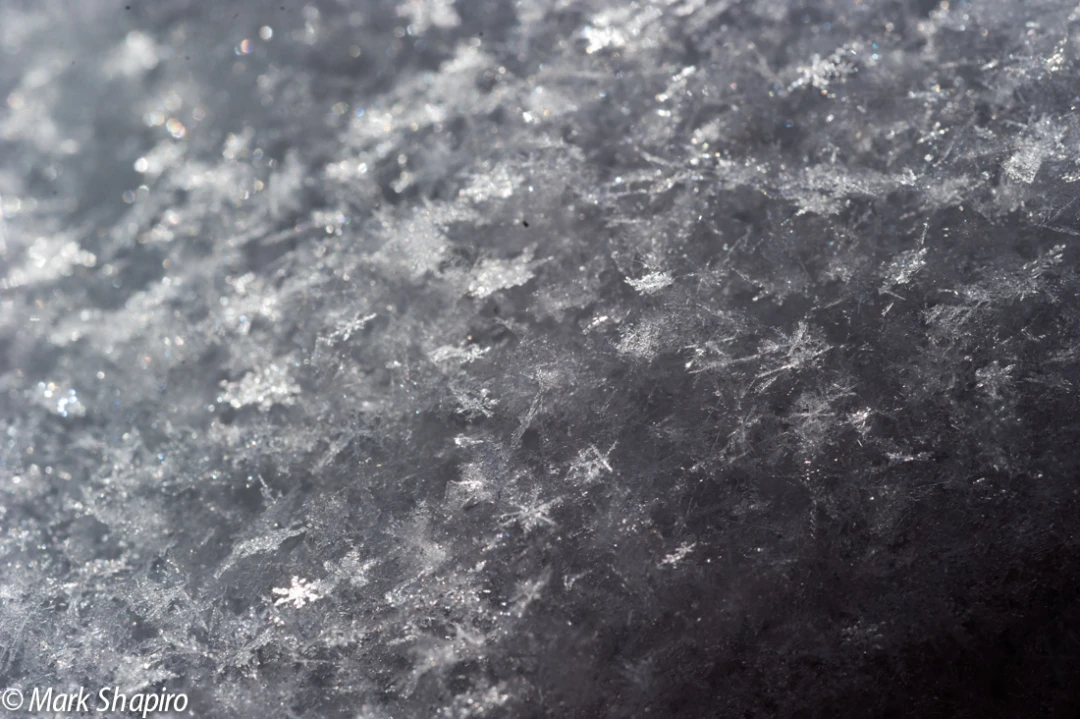 Powder Snow-75