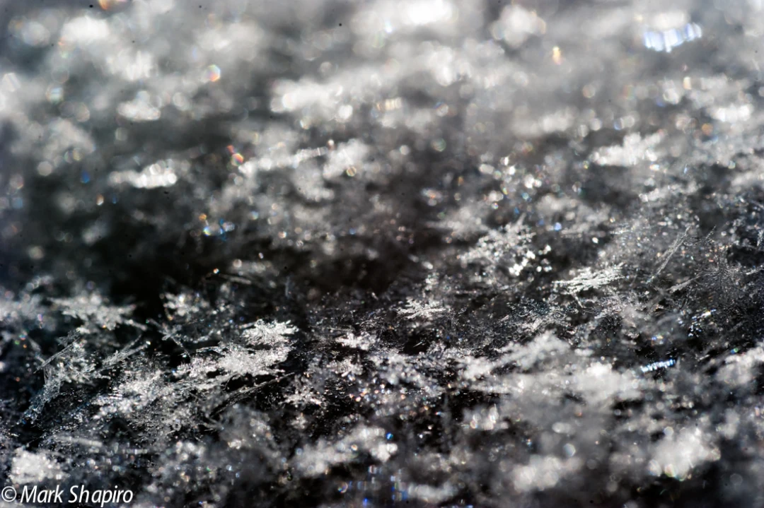 Powder Snow-76