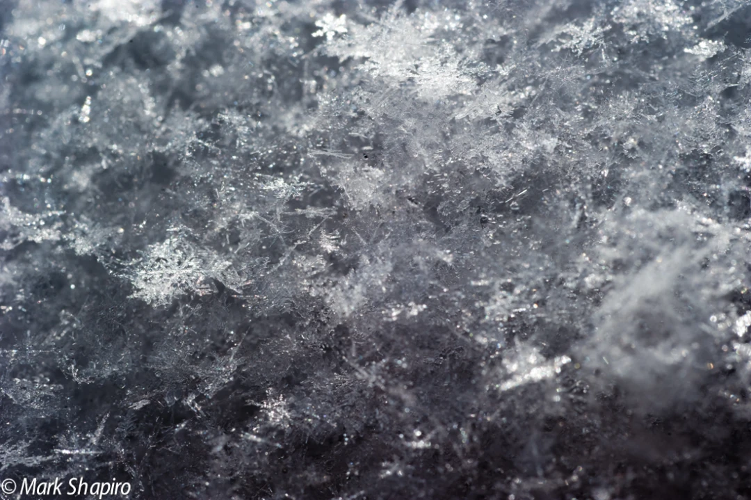 Powder Snow-77