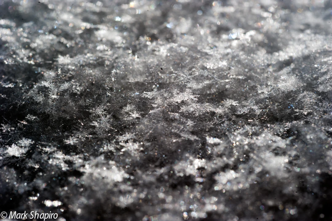 Powder Snow-78
