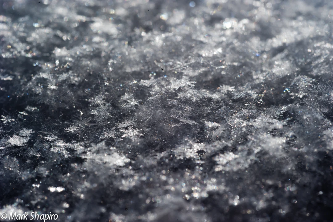 Powder Snow-79