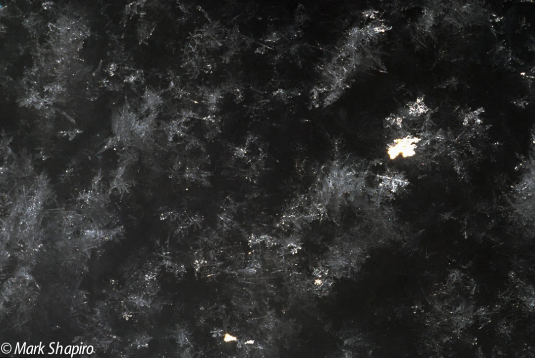 Powder Snow-80