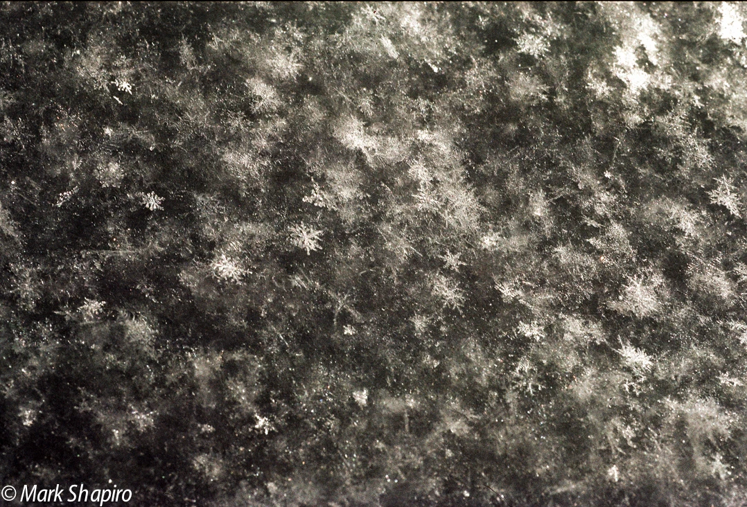 Powder Snow-81